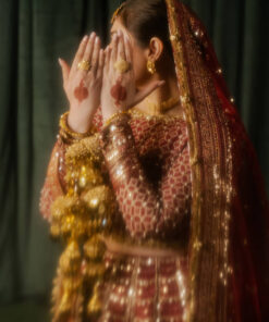 zarlish by mohsin naveed ranjha vol 5 wedding`24 | zwu 24 40