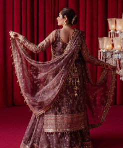 zarlish by mohsin naveed ranjha vol 5 wedding`24 | zwu 24 39