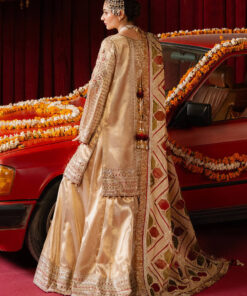 zarlish by mohsin naveed ranjha vol 5 wedding`24 | zwu 24 42