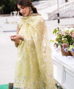 bin ilyas clara embroidered lawn 2024 | 214 b