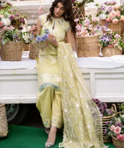 bin ilyas clara embroidered lawn 2024 | 214 b