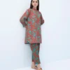 Sapphire Printed Salwar Kameez (GZ-61) 00u2tdy23v71 2.webp