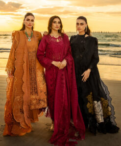 rang rasiya premium lawn 2025 | d 12