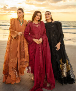 rang rasiya premium lawn 2025 | d 01