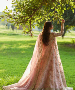 qalamkar shadmani formals | sajal ali | sh 08