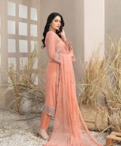 arushi collection by tawakkal fabrics 2024 | d 9982