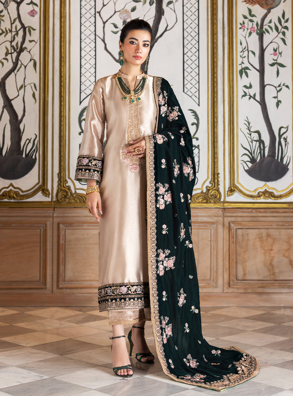 zainab chottani velvet | sarwana zainab chottani velvet | sarwana