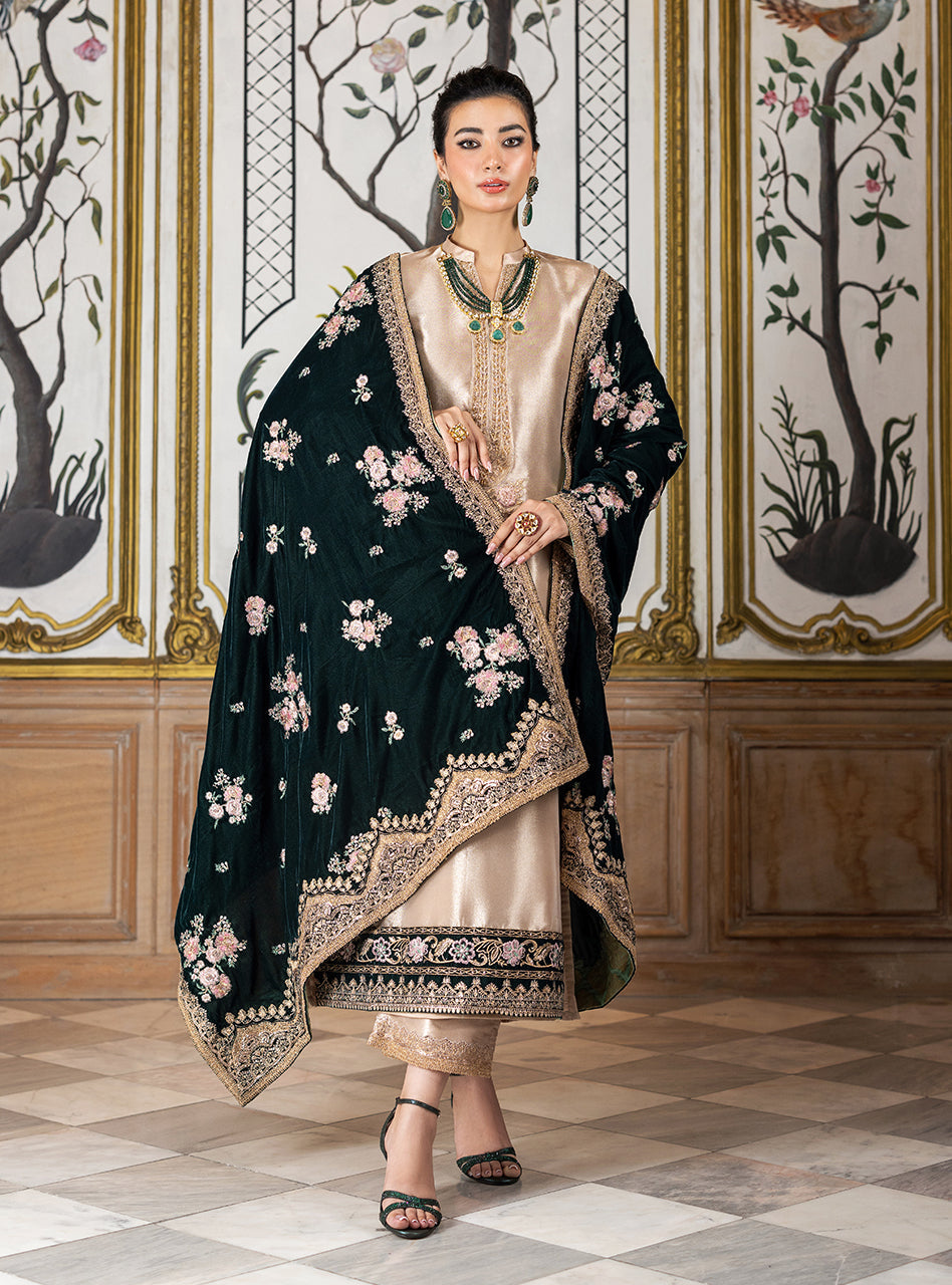 zainab chottani velvet | sarwana zainab chottani velvet | sarwana