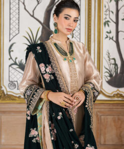 zainab chottani velvet | sarwana zainab chottani velvet | sarwana