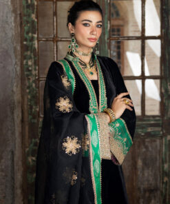 zainab chottani velvet | vanya zainab chottani velvet | vanya