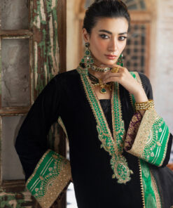 zainab chottani velvet | vanya zainab chottani velvet | vanya