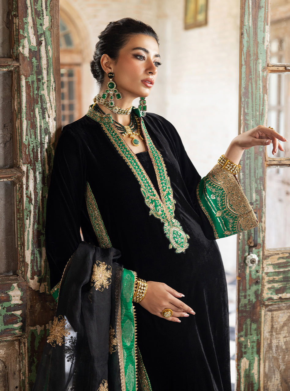 zainab chottani velvet | vanya zainab chottani velvet | vanya