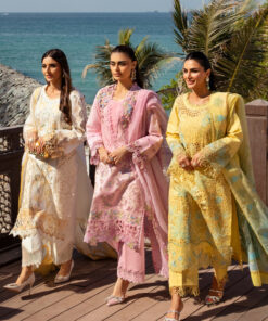 rang rasiya premium lawn 2025 | d 11