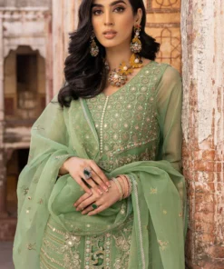 dastan e jashan luxury chiffon collection | djw 07 (ss 4832)