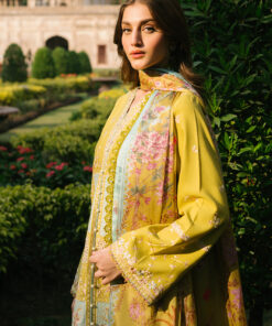 gulabi baagh by bin ilyas | 153 a