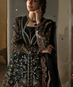 afrozeh hayat ’24 wedding collection | meera