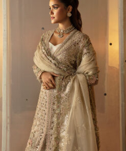 afrozeh hayat ’24 wedding collection | aniqa