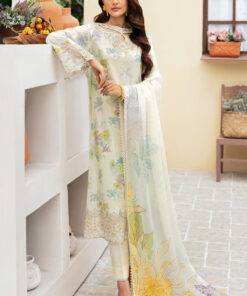rangrez by ramsha | lawn 2024 | n 501