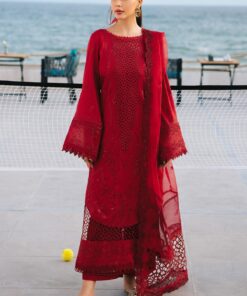 1 a4a49d16 1440 47b8 b198 bb10f663f219.jpg