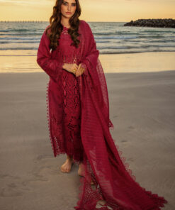 rang rasiya premium lawn 2025 | d 13