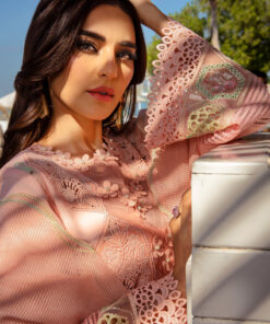 rang rasiya premium lawn 2025 | d 08