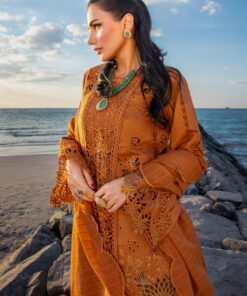 rang rasiya premium lawn 2025 | d 12