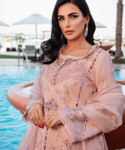 rang rasiya premium lawn 2025 | d 06