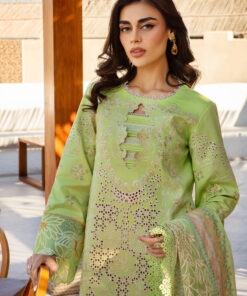 rang rasiya premium lawn 2025 | d 03