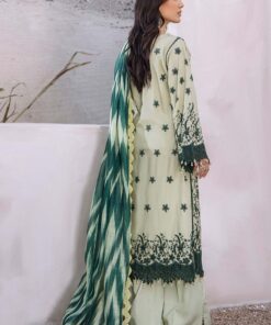 adan’s libas lasserkari 2025 | lasserkari 3905