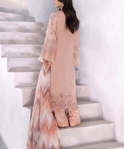 adan’s libas lasserkari 2025 | lasserkari 3909