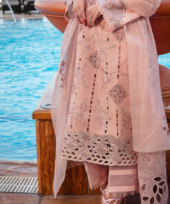 rang rasiya premium lawn 2025 | d 06