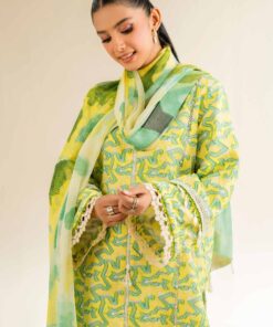 nishat spring summer lawn 2025 | 42501092