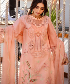 rang rasiya premium lawn 2025 | d 08