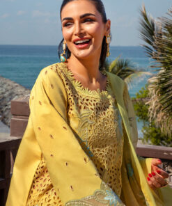 rang rasiya premium lawn 2025 | d 05