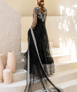 iznik chiffon party wear collection | cc 50