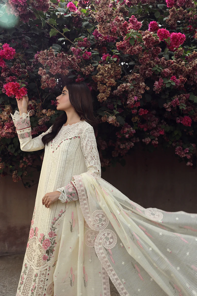 qalamkar festive lawn 2024 | ps 05 qalamkar festive lawn 2024 | ps 05