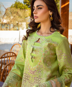 rang rasiya premium lawn 2025 | d 03