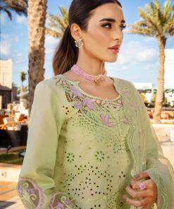 rang rasiya premium lawn 2025 | d 10