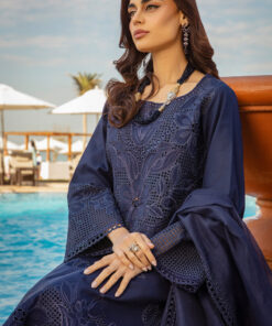 rang rasiya premium lawn 2025 | d 02