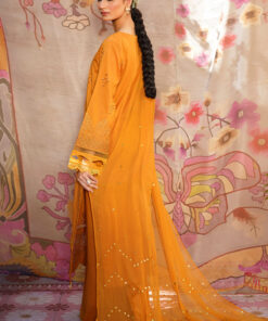 nureh bazar series | ns 138