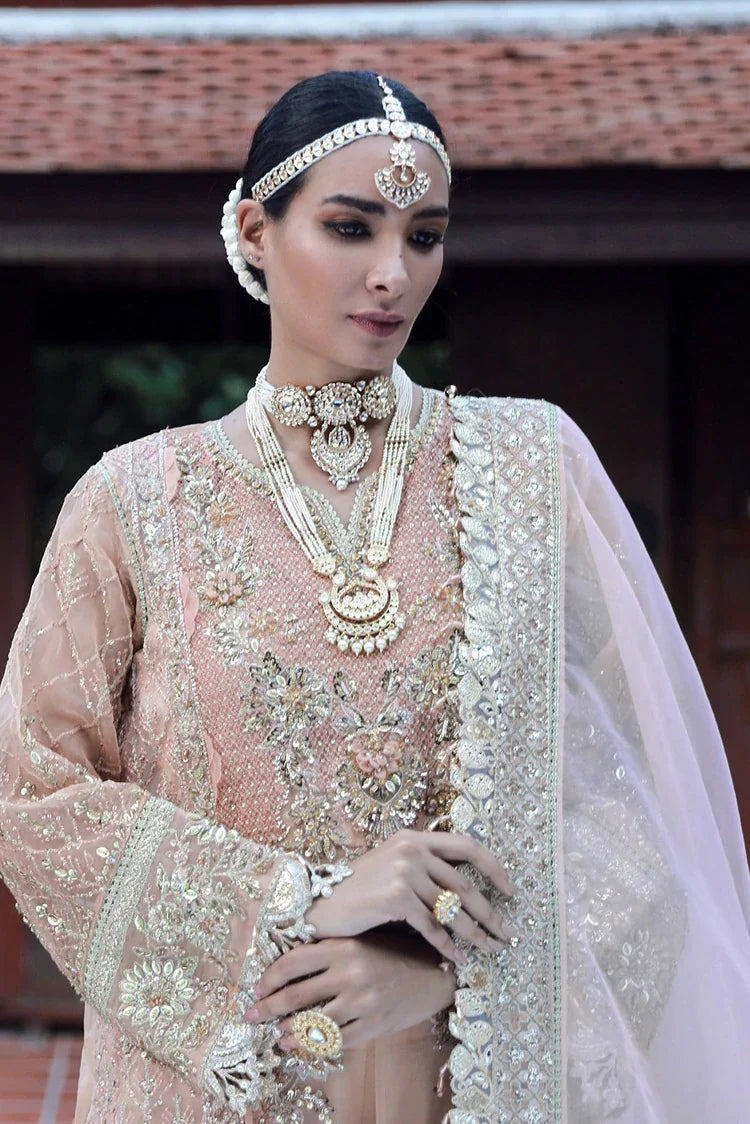 enaara – our first chapter festive collection vol 1 | d 08 enaara – our first chapter festive collection vol 1 | d 08