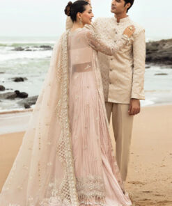 dastangoi by afrozeh wedding formals | awe 05 dastangoi by afrozeh wedding formals | awe 05