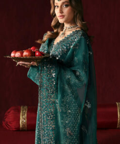 afrozeh divani silk edition 2025 | shahnisa