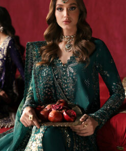 afrozeh divani silk edition 2025 | shahnisa