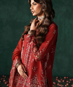 afrozeh divani silk edition 2025 | tajdaar