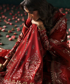 afrozeh divani silk edition 2025 | tajdaar