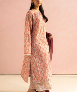coco prints 2025 by zara shahjahan | amaya 10a