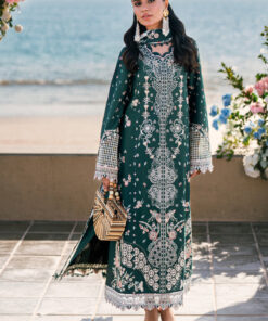 dsc08091 1800x1800.jpg