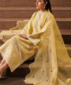 chikankari lawn ’24 by afrozeh | canary