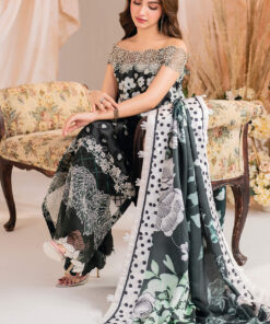 winter meraki’24 by asifa & nabeel | mw 07